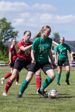 Bild 164 - F SG NieBar - IF Stjernen Flensborg : Ergebnis: 2:0